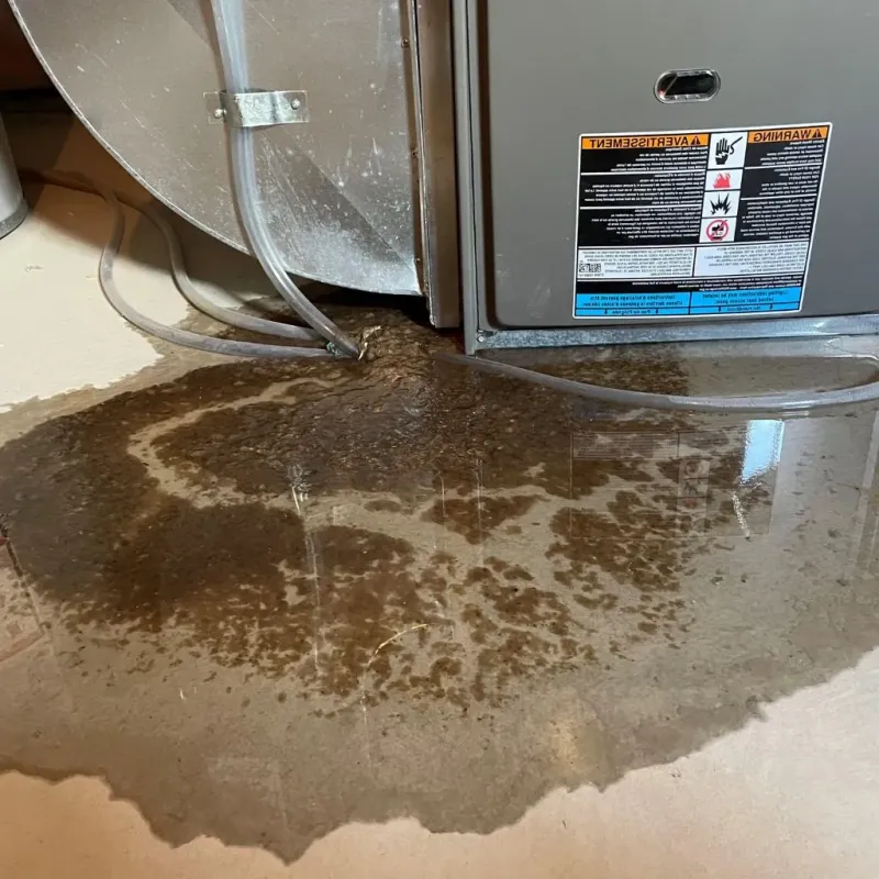 Pipe Burst and Leak Restoration in Arlington, MD